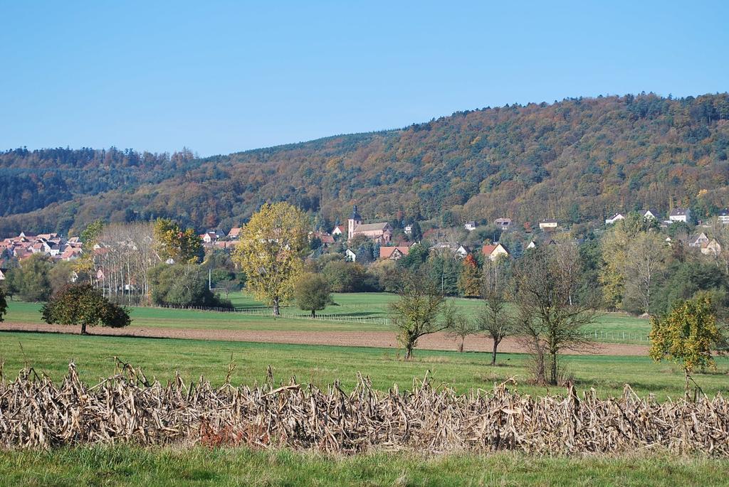 Chambres d'hôtes Les vignes Saint-Jean-Saverne Exterior foto